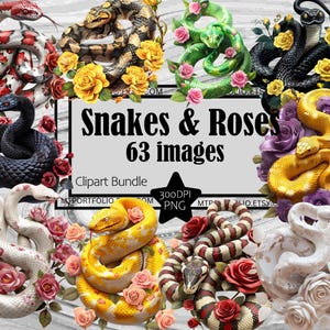 Schlange und Rosen Clipart PNG Bundle Boa Schlange Grafik Transparent Kommerziell Digital Download Sublimation Journal Anaconda Birma Python PNG