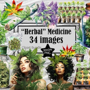 May include: A watercolour illustration clipart bundle of 34 images featuring various herbs and plants, including cannabis, in jars, pots, and loose. The title "Herbal Medicine 34 images" is displayed in the centre of the image.