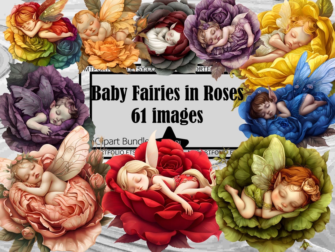 Graphics Fae Baby Fairy Clipart Baby Roses PNG Bundle PNG Graphics Transparent ...