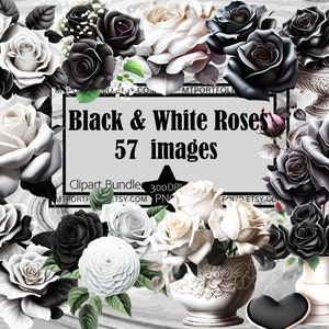 Black and White Rose Clipart Blooming Roses PNG Bundle PNG Graphics Transparent Commercial Use Digital Download Sublimation Journal PNG