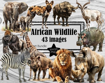 African Wildlife Clipart Elephant Clipart PNG Bundle Lion Zebra Clipart Graphic Art Transparent Commercial Digital Sublimation Junk Journal