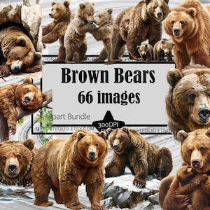 Clipart ours brun grizzly clipart Bundle d'oursons en hibernation graphiques Transparent commercial en téléchargement numérique Sublimation art mural
