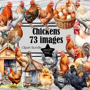 Acuarela Pollo Clipart Granja Homestead Gráficos PNG Pollitos PNG Licencia Comercial Sublimación Digital Diario Basura Canasta de Huevos de Pascua