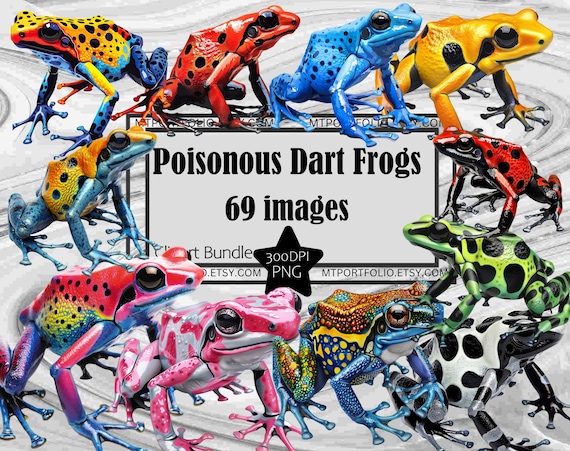 毒カエルのクリップアート 虹色のヤドクガエル PNG バンドル