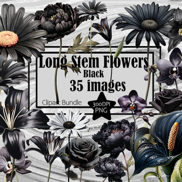 Black Rose PNG Long Stem Rose Clipart Black Flowers PNG Bundle Graphics Transparent Commercial Use Digital Download Sublimation Junk Journal