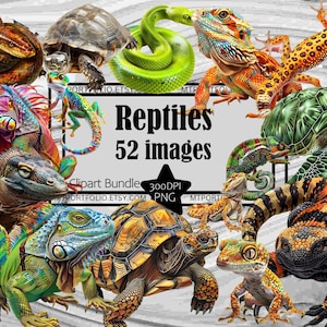 Reptilien Clipart Eidechse Gecko PNG Bundle PNG Grafiken Transparent Kommerzielle Nutzung Digitaler Download Sublimation Journal Schlange Iguan Schildkröte PNG