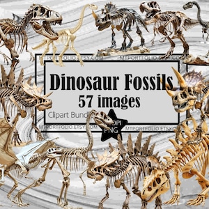 Dinosaurier Fossil Clipart Skelett PNG Grafik Dinosaurier Knochen Transparent Holz Kommerzielle Digitaler Download Sublimation Archäologie Junk Journal