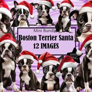 Boston Terrier Breed Rot Weihnachtsmütze Weihnachten Grafiken Hund Mama Kunst Sublimation Bundle Junk Journal Sammelalbum PNG Datei Transparent Download