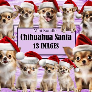 Chihuahua Chihuahueno Rot Weihnachtsmütze Weihnachten Grafiken Hund Mama Kunst Sublimation Bundle Junk Journal Scrapbook PNG Datei Transparent Download