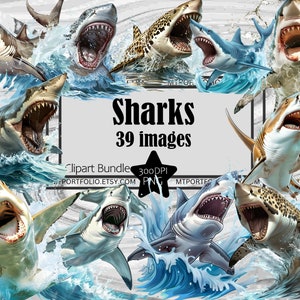 Requin Clipart grand requin blanc PNG Requin-marteau graphiques Transparent Commercial téléchargement numérique Sublimation Journal requin Tshirt PNG