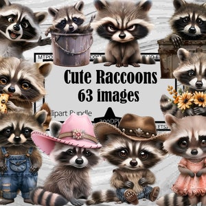Clipart raton laveur mignon PNG ludique raton laveur Art mural Bundle Bundle d'art mural PNG graphiques Transparent Journal de sublimation en téléchargement numérique commercial
