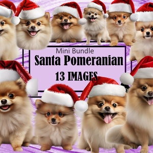 Pommern Pom-Pom Rot Weihnachtsmütze Weihnachten Grafiken Hund Mama Kunst Sublimation Bundle Junk Journal Scrapbook PNG Datei Transparent Download
