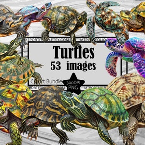 Schildkröte Clipart Schildkröte PNG Bundle PNG Grafiken Transparent Kommerzielle Nutzung Digital Download Sublimation Journal Snapping Schildkröte PNG