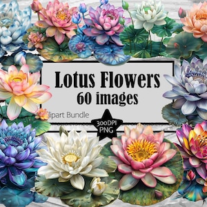 Clipart fiore di loto Zen Lotus PNG Grafica spirituale Zen Fiore PNG Yoga Zen Licenza commerciale Sublimazione digitale Giornale spazzatura
