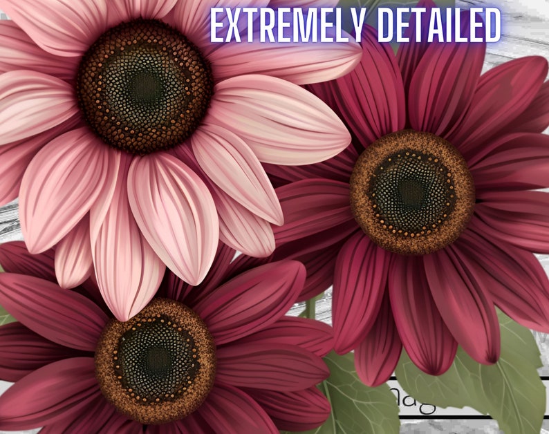 K&ouml;nnte beinhalten: Drei Sonnenblumen mit rosa und burgunderfarbenen Bl&uuml;tenbl&auml;ttern. Die Mitte jeder Blume ist braun mit einem dunkelbraunen Zentrum. Die Blumen befinden sich auf einem wei&szlig;en Hintergrund mit Holzmaserung.