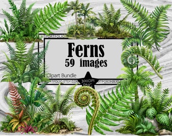 Peut inclure: Un lot de clipart numérique de 59 images de fougères. Les fougères sont vertes et de formes et de tailles variées. Les images sont en 300 DPI et au format PNG. Le texte "Ferns 59 images" est au centre de l'image. Le texte "Clipart Bundle" est sous le texte "Ferns 59 images". Le texte "MTPORTFOLIO.ETSY.COM 300DPI PNG MTPORTFOLIO" est sous le texte "Clipart Bundle".