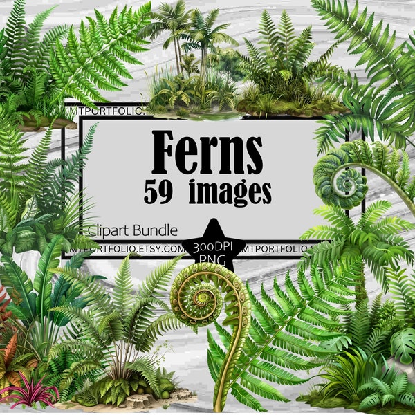 Fern Clipart Tropical Ferns PNG Graphic Marsh Fern Transparent Commercial License Digital Download Sublimation Fiddlehead Fern Junk Journal