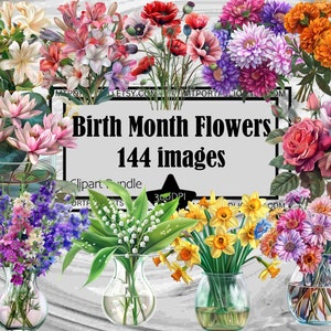 Naissance fleur mois Clipart arrangement floral PNG graphiques oeillet vase à fleurs fleur fleur PNG licence commerciale numérique indésirable journal