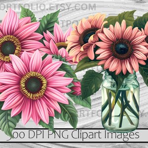 K&ouml;nnte beinhalten: Ein Strau&szlig; rosa Sonnenblumen in einem durchsichtigen Glas. Die Blumen sind in einer Vase auf einem wei&szlig;en Holzgrund angeordnet. 300 DPI PNG Clipart Bilder.