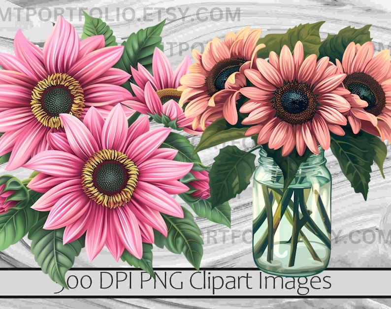 K&ouml;nnte beinhalten: Ein Strau&szlig; rosa Sonnenblumen in einem durchsichtigen Glas. Die Blumen sind in einer Vase auf einem wei&szlig;en Holzgrund angeordnet. 300 DPI PNG Clipart Bilder.