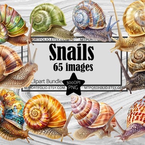 Lumache Clipart Arcobaleno Lumaca PNG Bundle Lumaca Guscio Grafica PNG Mollusco Luminoso Clipart Lumaca TShirt Sublimazione PNG Arte Murale
