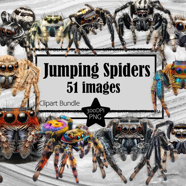 Jumping Spider Clipart Salticidae Spoods PNG Spider Bundle PNG Graphics Transparent Commercial Digital Download Sublimation Journal Arachnid