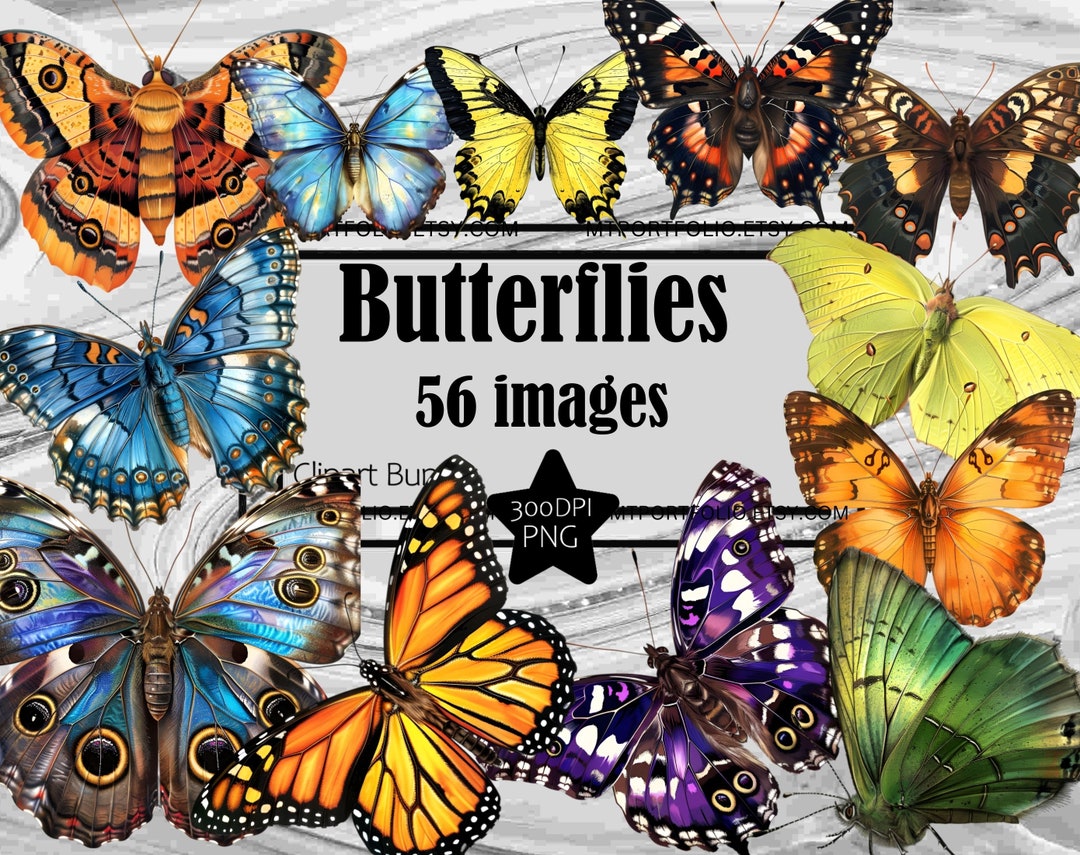 Butterfly Clipart PNG Monarch Butterfly Clipart Bundle PNG Graphics ...