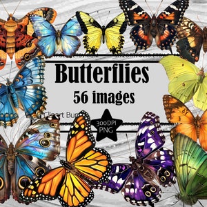Butterfly Clipart PNG Monarch Butterfly Clipart Bundle PNG Graphics Transparent Commercial Digital Download Sublimation Journal Clipart
