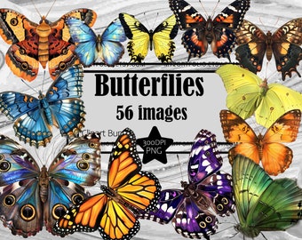 Butterfly Clipart PNG Monarch Butterfly Clipart Bundle PNG Graphics Transparent Commercial Digital Download Sublimation Journal Clipart