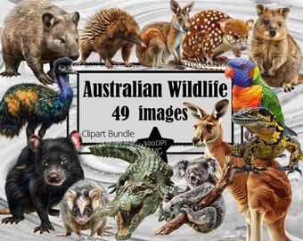 Australian Wildlife Clipart Kangaroo Clipart PNG Bundle Koala Bear Dingo Graphic Transparent Commercial Digital Sublimation Junk Journal