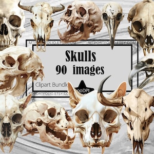 Schedel clipart PNG anatomische schedel clipart bundel vogel schedel PNG graphics transparante commerciële digitale download gotische sublimatie T-shirt