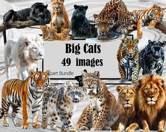 Big Cats Clipart Black Panther Graphics Cheetah Clipart Leopard PNG Sublimation Bundle Junk Journal Scrapbook PNG File Transparent Download
