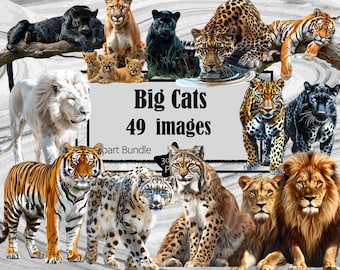 Big Cats Clipart Black Panther Graphics Cheetah Clipart Leopard PNG Sublimation Bundle Junk Journal Scrapbook PNG File Transparent Download