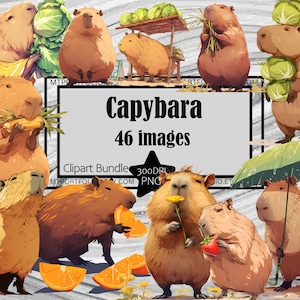 Carpincho Clipart Anime Carpincho PNG Clipart Paquete Lindo Caricatura Carpincho PNG Conejillo de Indias Gigante Clipart Papel Artesanía Diario Basura Cerdo de Agua