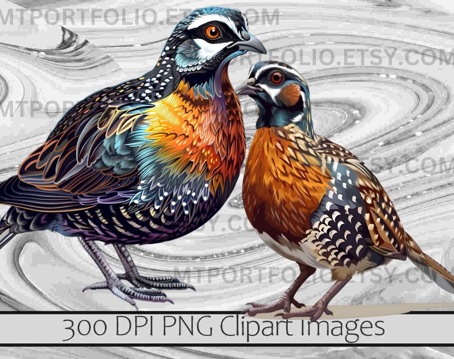 Quail Clipart Button Quail Clip Art Mountain Quail Bundle PNG Graphics ...