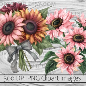 K&ouml;nnte beinhalten: Ein Strau&szlig; aus rosa und orangefarbenen Sonnenblumen mit einer grauen Schleife. 300 DPI PNG Clipart Bilder.