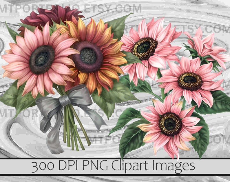 K&ouml;nnte beinhalten: Ein Strau&szlig; aus rosa und orangefarbenen Sonnenblumen mit einer grauen Schleife. 300 DPI PNG Clipart Bilder.