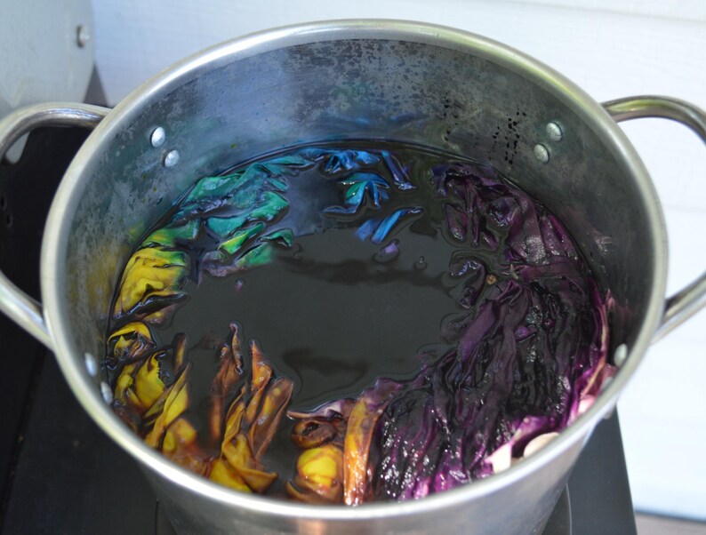 Yarn Dyeing Kit Using Fiber Reactive Dyes Learn to Dye Yarn image 3
