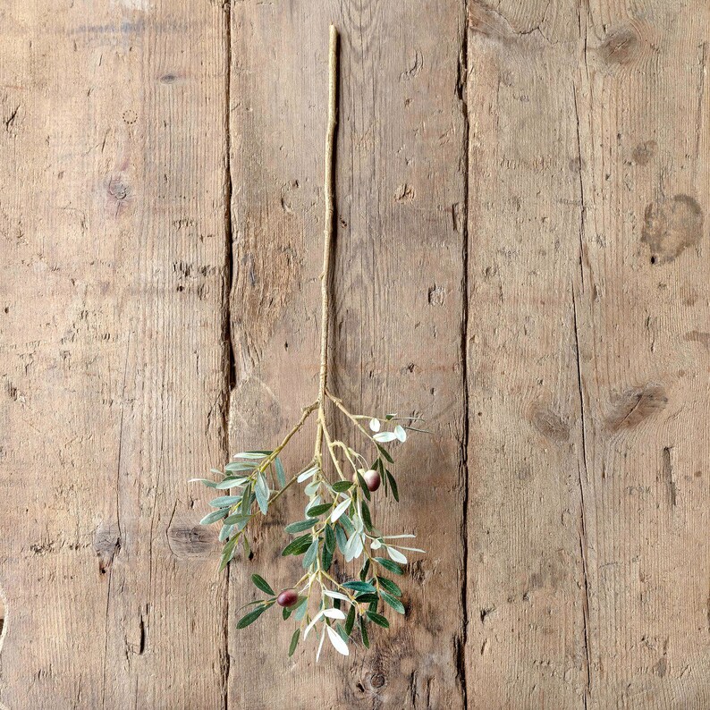 OLIVE branch Home decor Olive greenery Tuscan artificial Etsy