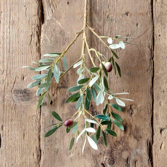 OLIVE branch Home decor Olive greenery Tuscan artificial Etsy