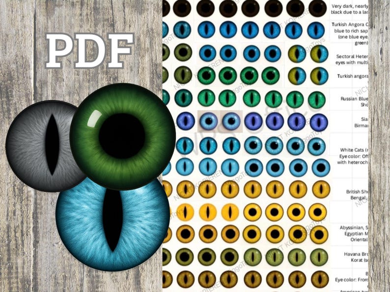 Cat Eyes Printable, Realistic Looking – Exclusive Design | From 6 to 20 ...