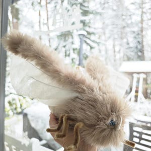 May include: A plush, brown insect toy with fluffy fur, paper wings, and pipe cleaner legs. The toy has a long tail and a small, blue eye. The background shows a snowy outdoor scene.