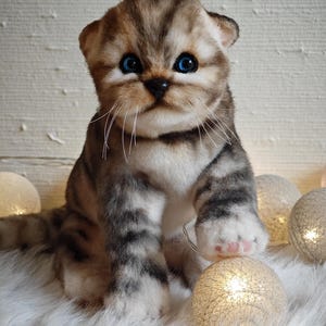 Custom Realistic Cat Plush – Handmade Poseable Toy, Personalized from Photo, Memory Gift