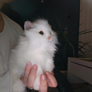 Custom Realistic Pet Plush – Handmade Poseable Animal Toy, Collectible Memory Gift from Photo