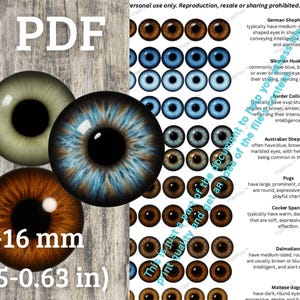Ojos de perro imprimibles en PDF: Lámina realista para ojos de peluche, muñecas y disfraces (A4)