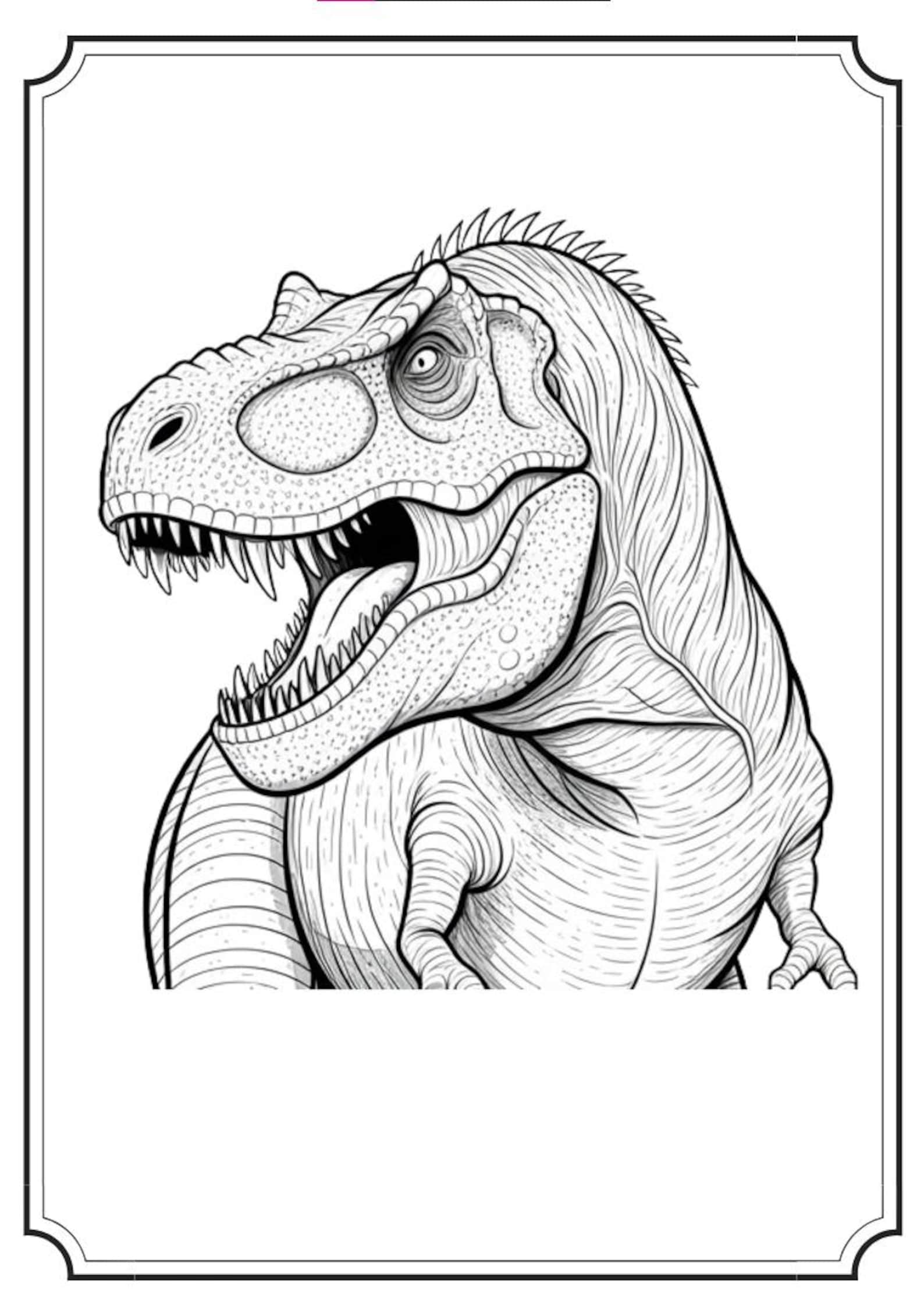 Dinosaur Coloring Book (50 Printable Drawings) - Etsy