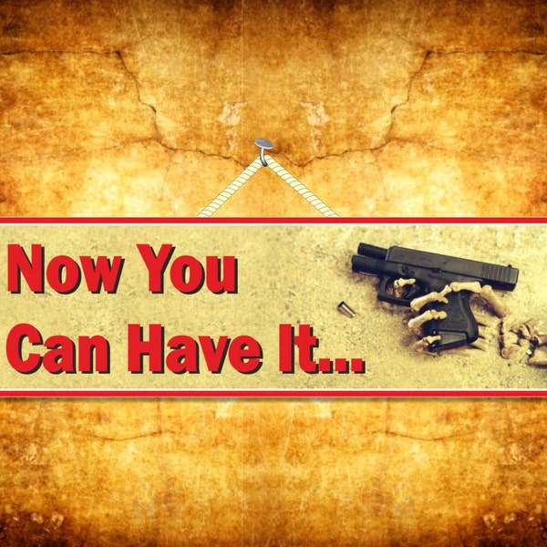 Now You Can Have It Gun Funny Novelty Sign with Skeleton Hand and Pistol, Gun Decor, Firearms Sign