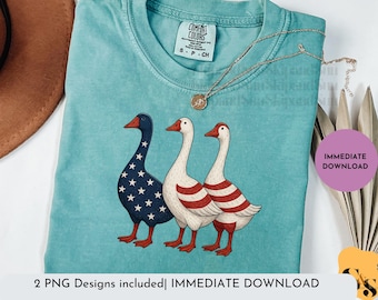 Shirtontwerp patriottische ganzen: rood wit blauw VS (digitale download)