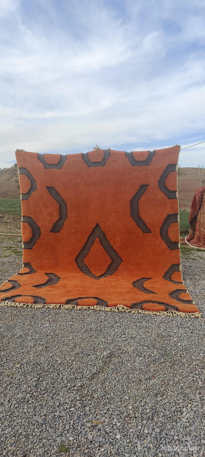 May include: A large, orange and brown patterned rug with a geometric design. The rug is hanging on a clothesline outside, with a view of a field and sky in the background.