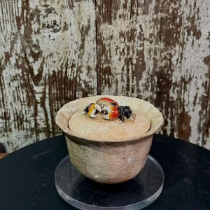 Handgemaakte Japanse Hagi Ware Gaiwan met craqueléglazuur, 135 ml - Kom met deksel en rivierkrabmotief.